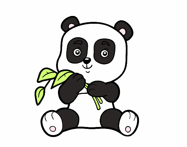 Un oso panda