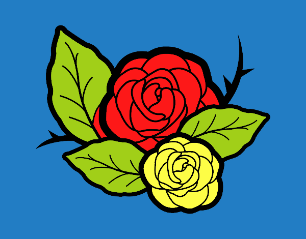 Dos rosas