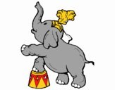 Elefante