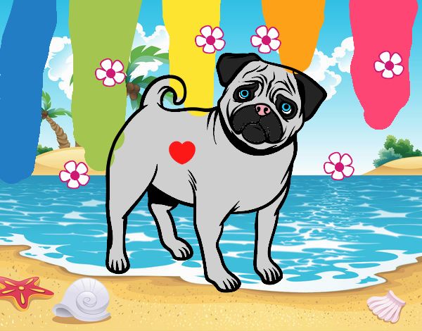 ❤Pug❤