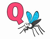 Q de Mosquito