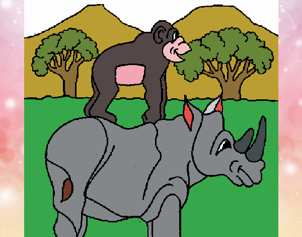 rhino and gorila