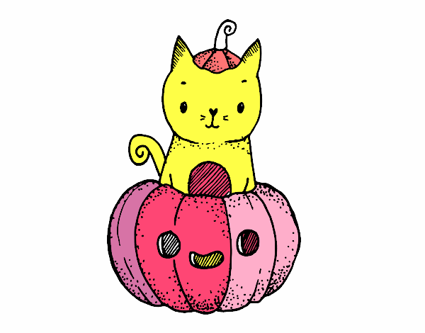 Un gatito de Halloween