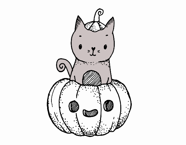 Un gatito de Halloween