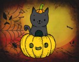 Un gatito de Halloween