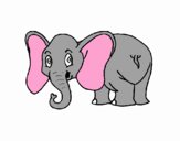 Elefante pequeño