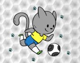 Gato jugando a fútbol