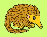 Pangolin