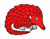 Pangolin