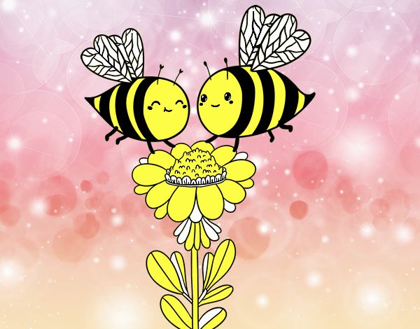 Pareja de abejas