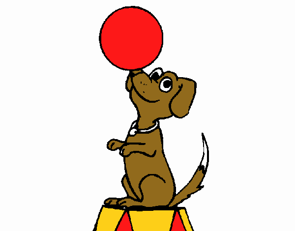 Perro de circo