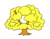 Árbol