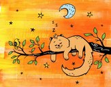 El gato y la luna