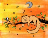 El gato y la luna