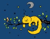 El gato y la luna