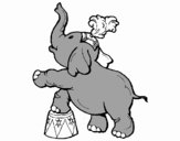 Elefante