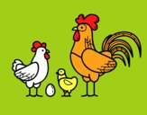 Familia gallina