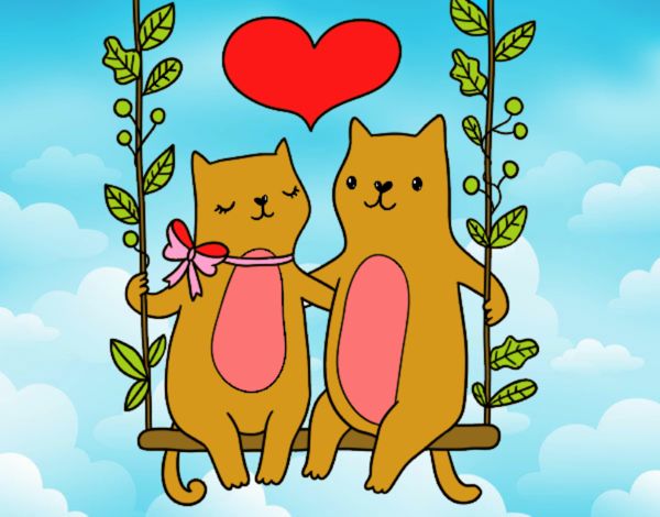 Gatos enamorados 