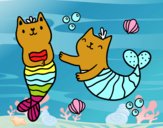 Gatos sirena