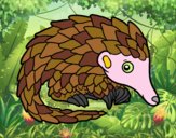 Pangolin