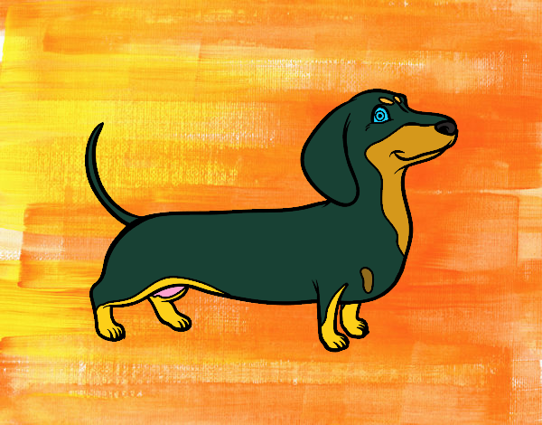 Dibujo de Perro salchicha pintado por en Dibujos.net el día 05-07