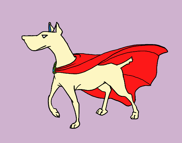 Perro superhéroe