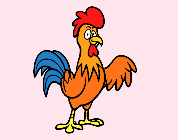 EL  GALLO