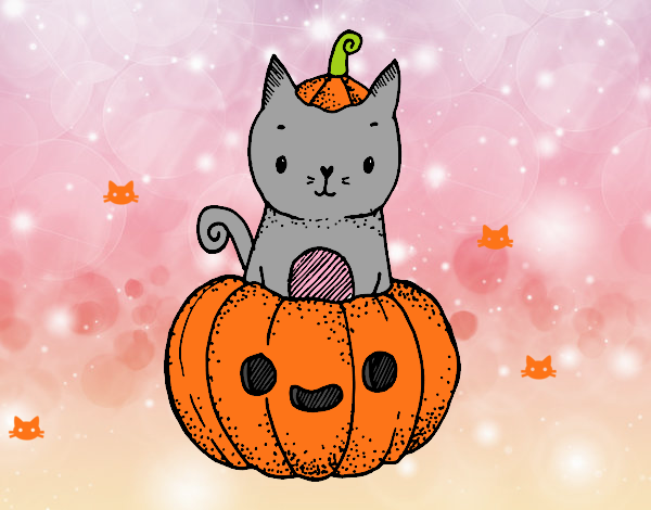 Un gatito de Halloween