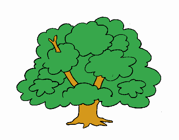 Árbol