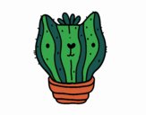 Cactus gato