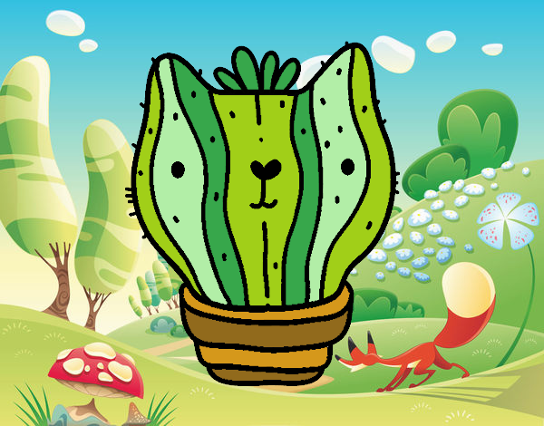 Cactus gato