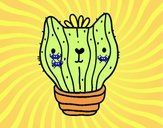 Cactus gato