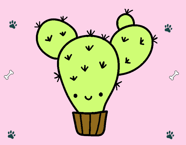 Cactus nopal