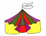 Circo