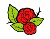 Dos rosas