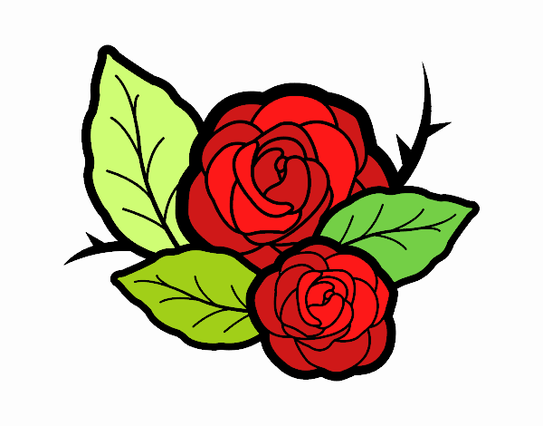 Dos rosas