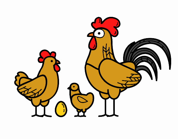 Familia gallina