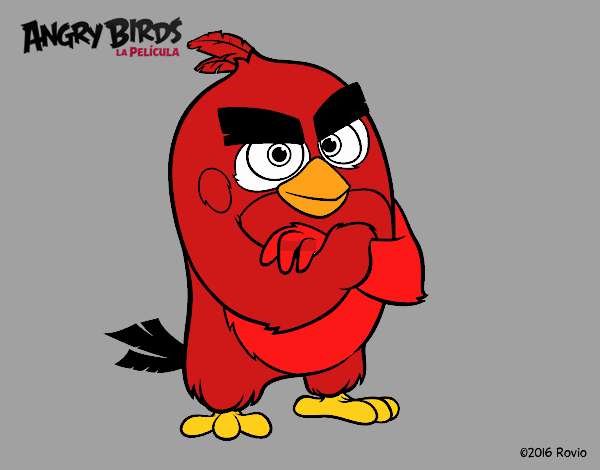 Red de Angry Birds