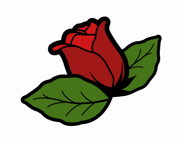 la rosa roja 