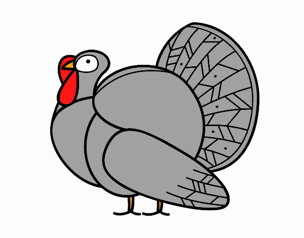 Un pavo