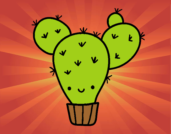 Cactus nopal