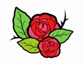 Dos rosas