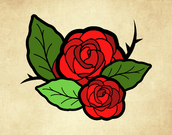 Dos rosas