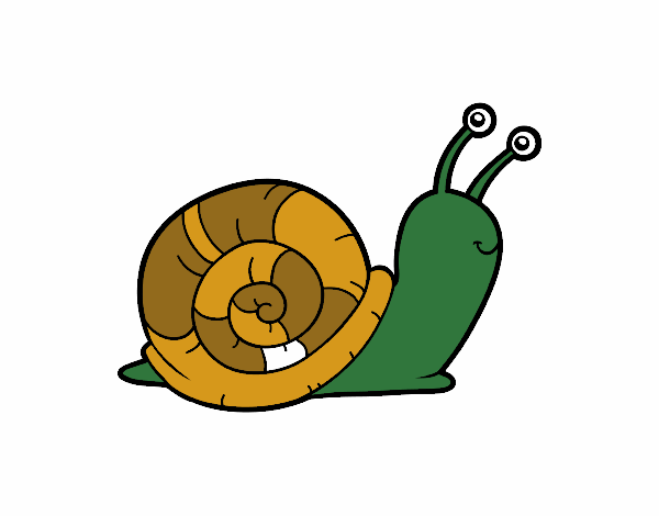 El caracol