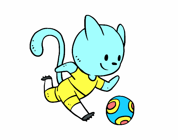 Gato jugando a fútbol