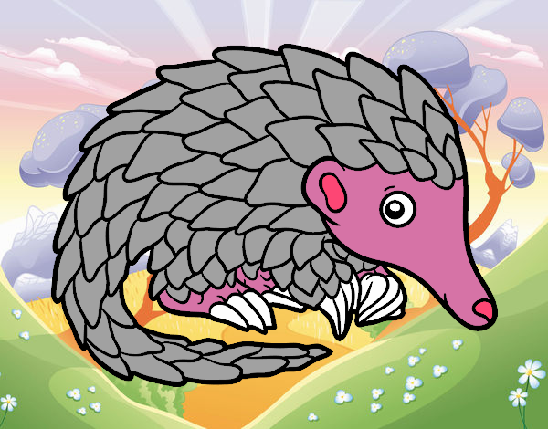 Pangolin