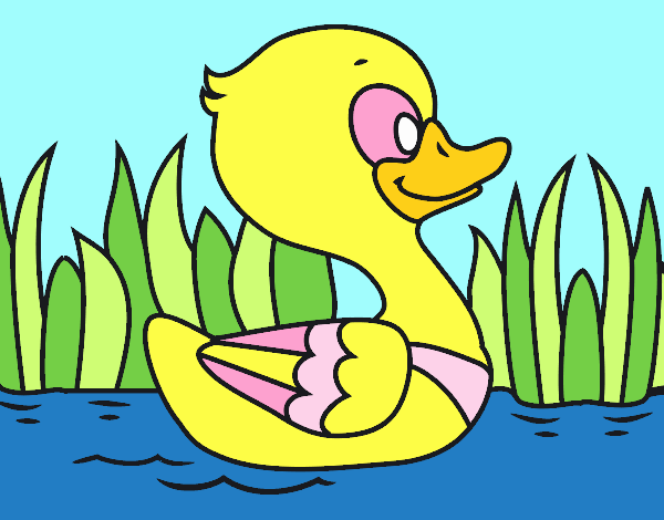 Patito de río