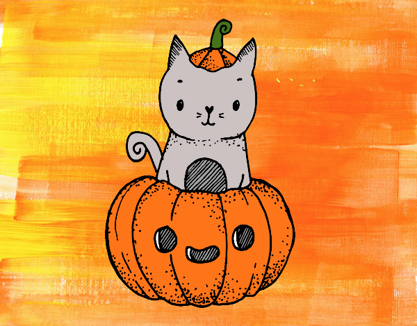 Un gatito de Halloween