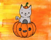 Un gatito de Halloween