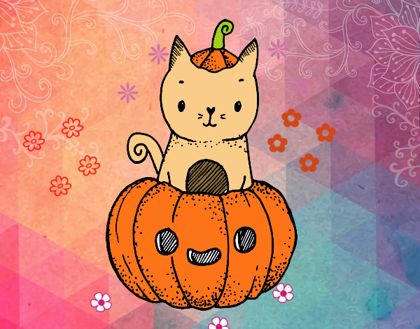 Un gatito de Halloween